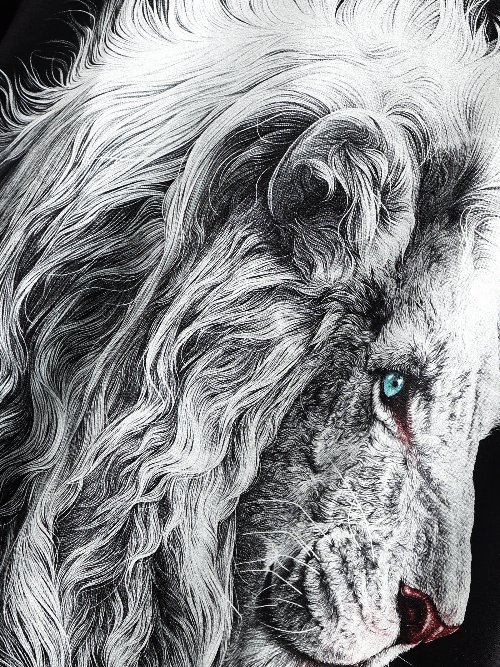 White Lion